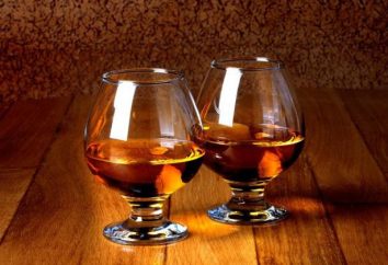cognac Transcarpathian – coleção do vintage e brandies comuns
