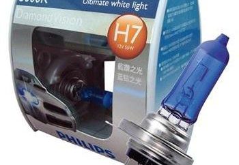 As lâmpadas de halogéneo de auto H7 alto brilho: o que é melhor? comentários
