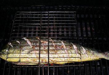 Dorado grelhado e outros métodos populares de peixe cozinhar