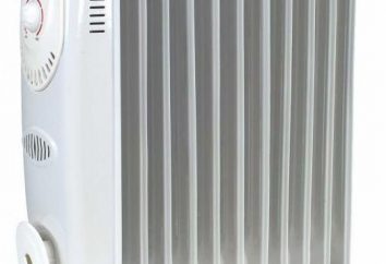 una nueva generación de calentadores eléctricos de bajo consumo: una revisión de los mejores modelos y comentarios