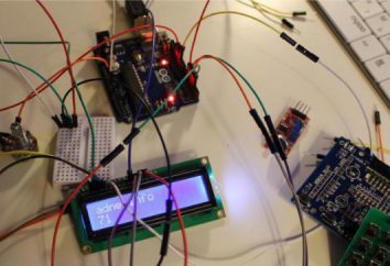 Arduino Starter: Schritt für Schritt Anleitung. Programmierung und Projekte Arduino: wo anfangen?