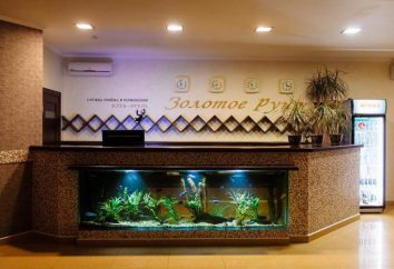 Club-Hôtel "Toison d'Or", Taganrog: adresse, description, avis