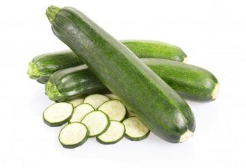 Zucchini: Die besten Outdoor-Sorten. Beschreibung und Eigenschaften des Anbaus von Sorten