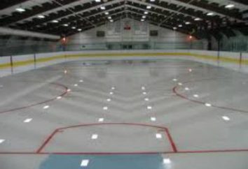 hockey pista dimensioni. La dimensione della pista di hockey canadese