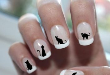 Manicure "cat's", z łapkami kota, "oko kota" na krótkich paznokciach. Jak zrobić manicure kota, zdjęcie