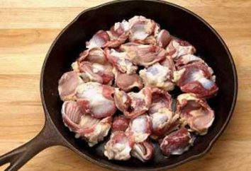 Cómo cocinar el pollo ventrículos – algunos grandes recetas sabrosas
