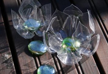 Wasserlilie aus einer Plastikflasche – einfach und schön