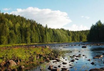 Parques de campismo em Karelia: o que escolher?