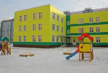 Przedszkola (Nowosybirsk): rodzaje przedszkola, funkcje pracy