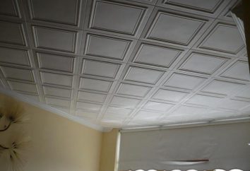 Les dalles de plafond en mousse: variétés, caractéristiques, instructions et commentaires