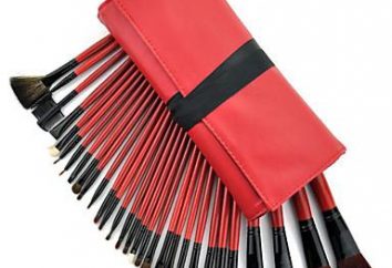 Makeup Brush Set – niezbędnym fundamentem dla profesjonalistów i nie tylko