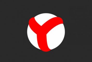 Wie Sie den Cache von „Yandex“ löschen. Unterricht für Anfänger