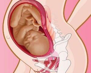 Come prepararsi per il parto cervice. modi diversi