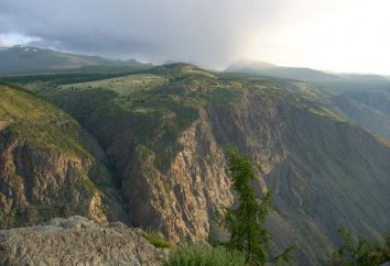 Réserve Altai – un point culminant du territoire de l'Altaï