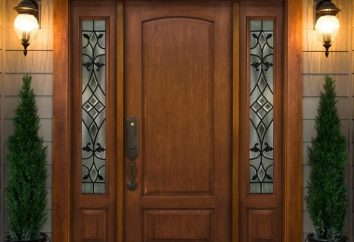 La porte d'entrée à une maison privée: les principes de choix