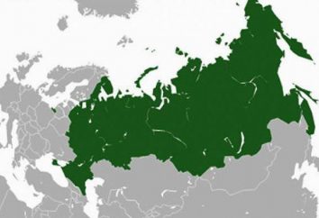 Regiony niewypłacalne i najuboższy region Rosji: poziom wynagrodzeń