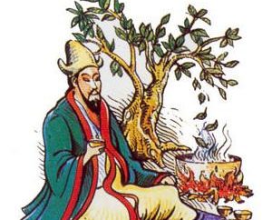 Tea "Kudin" e suas propriedades