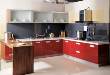 Eine kleine Ecke Küche: intelligent planen Raum