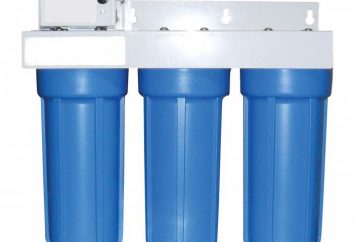 El agua potable del pozo. Un filtro para el tratamiento de agua de los pozos