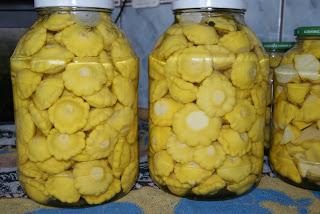 zucca in salamoia – una grande alternativa ai cetrioli