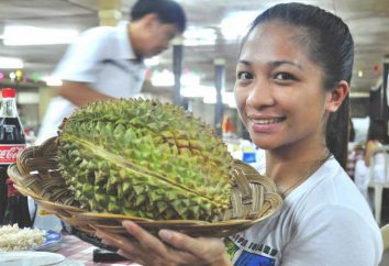 Durian: die Gerüche, die wie es schmeckt gegessen