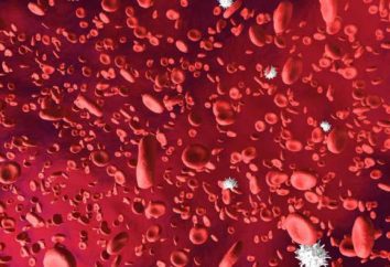 Cellule del sangue – che cosa è questo? La composizione dei globuli