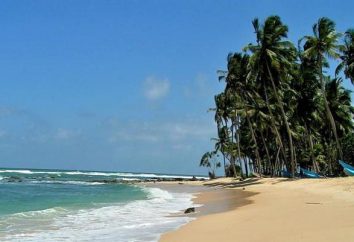 Sri Lanka île: le temps et le climat pendant des mois. Description de la nature de l'île et commentaires