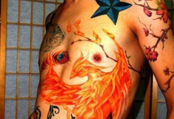 Phoenix: tatouage, le sens et le sens sacré