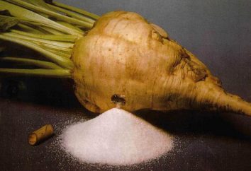 Azúcar de remolacha: propiedades, contenido calórico