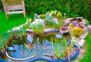 Come creare un laghetto in giardino sul sito?
