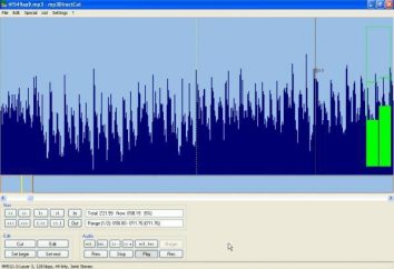 Editor de archivos de audio: examen de los programas