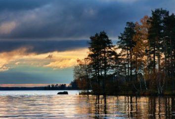 Vuoksa – Lake of Leningrad Region