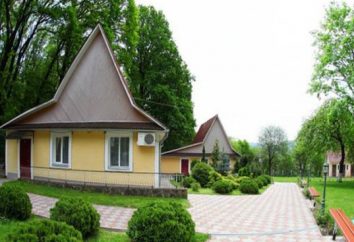 "Borzhava" (centro de rehabilitación), Transcarpathia: descripción, fotos, opiniones