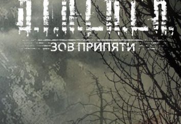 Dove trovare un intoppo nella "STALKER: Call of Pripyat": dichiarazione