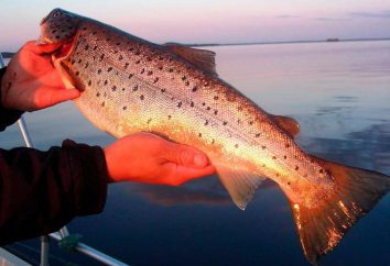 La pesca en Kalmykia – una sensación increíble