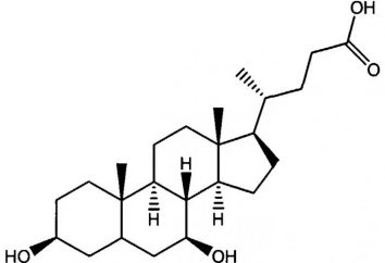 O ácido ursodesoxicólico: instruções de utilização, análogos, revisões