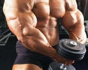 Che colpisce l'aumento della massa muscolare?