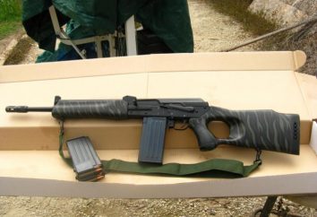Carbine "cinghiale-308": prezzi, recensioni