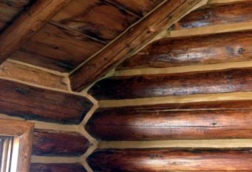 Fortín. cabaña de madera canadiense: cómo hacer sus propias manos