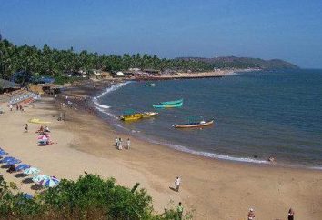 Arambol Plaza Beach Resort 2 * (India, Goa): recensioni, descrizione dell 'hotel