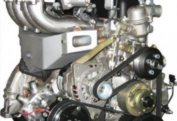 4216. Motore UMZ-4216. caratteristiche tecniche