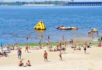 Volgograd: plages. Volgograd, plage « Castors »