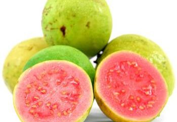 Guayaba – fruta exótica, y muy útil