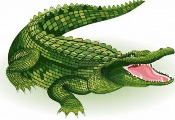 Interpretação dos sonhos: o que sonhou crocodilo
