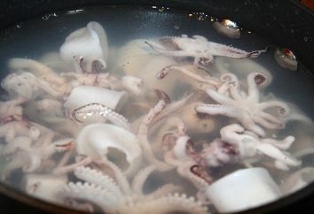 Quanto tempo e come cucinare i calamari su insalata