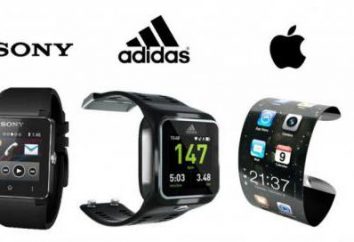 SmartWatch dla „android”: opis, funkcje i opinii