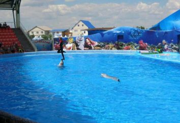 Kirillovka, delfinarium „Oscar”: adres, pływanie z delfinami, opinie