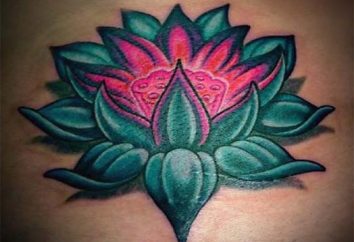 Lotus (tatouage): valeur du caractère et de l'histoire