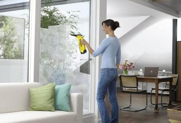Nettoyant pour vitres, leurs types et application