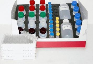 Analiza immunoenzymów: zastosowanie i cechy polimeru